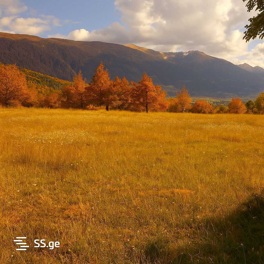 Land For Sale. Mestia view 6