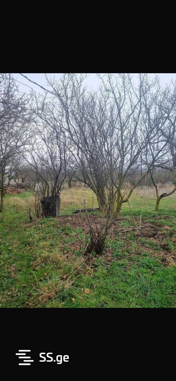 Land For Sale. Manglisi view 1
