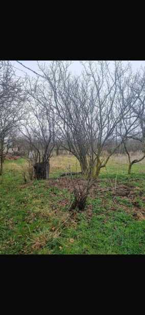 Land For Sale. Manglisi