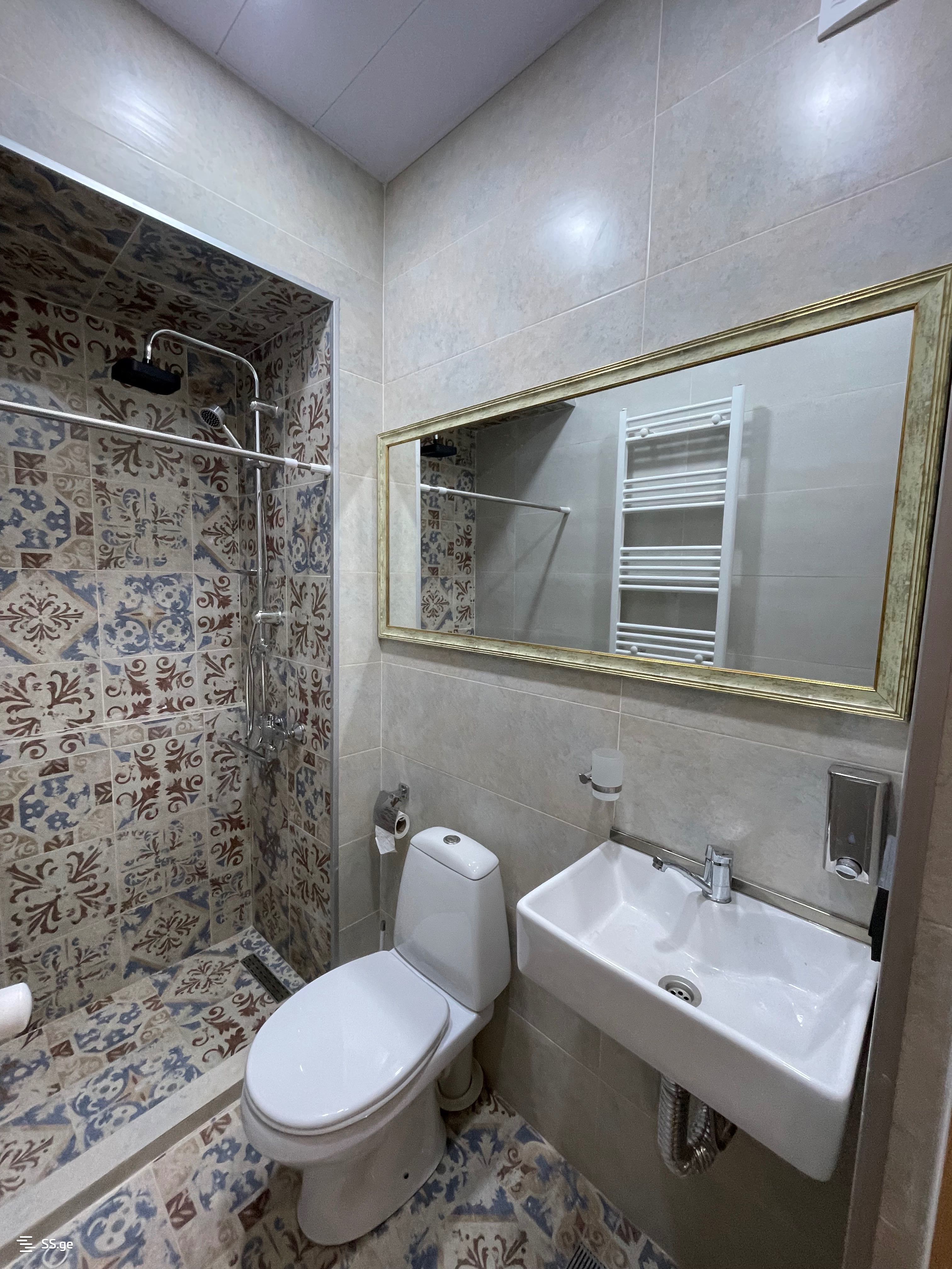 1 Room Private House Daily Rent. Borjomi view 10