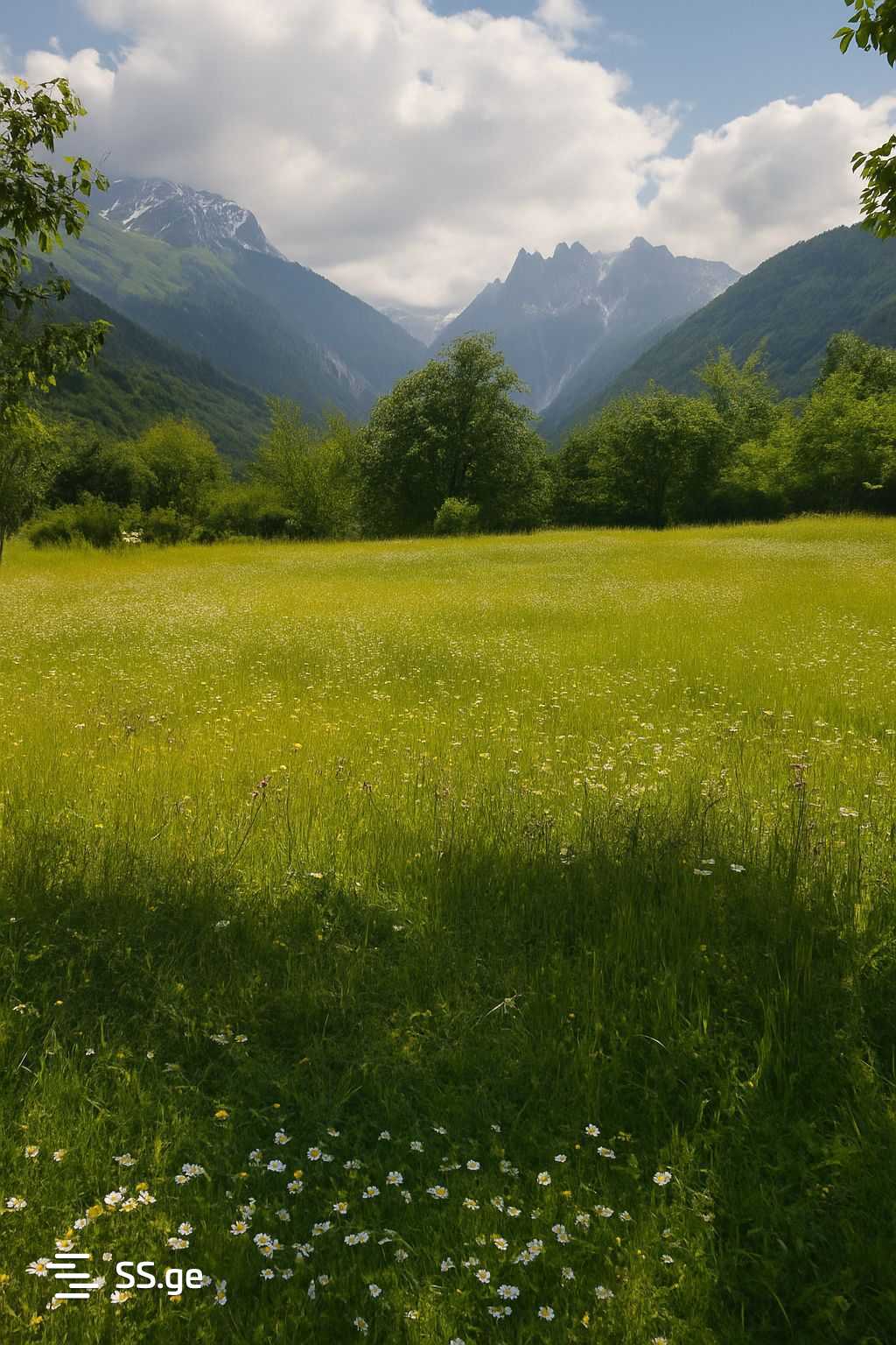 Land For Sale. Mestia view 8