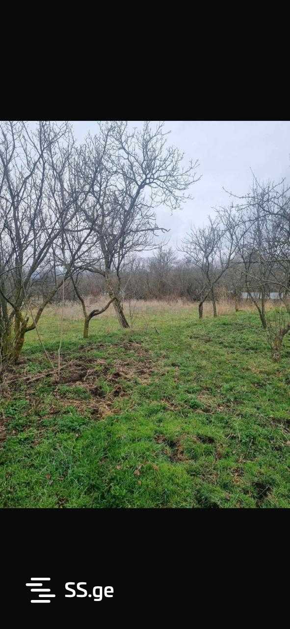 Land For Sale. Manglisi view 4