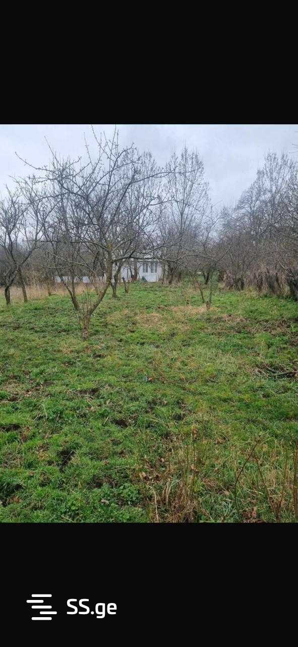 Land For Sale. Manglisi view 2