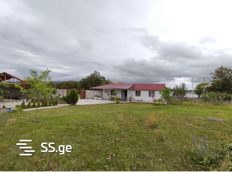 3 Room Summer Cottage Daily Rent. Bazaleti view 7