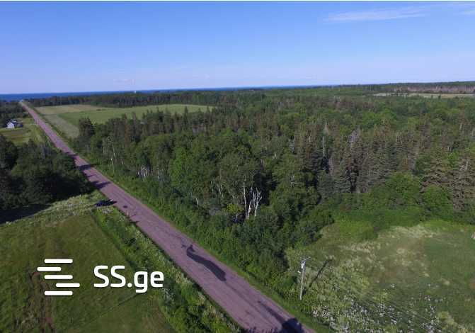 Продажа Земля в манглиси view 1