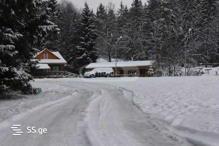 https://static.ss.ge/20250807/11_08ff6069-e370-4fd9-b1f6-b82e8ae335e4_Thumb.jpg