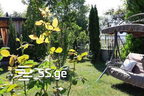 7 Room Private House For Rent. Natakhtari view 4