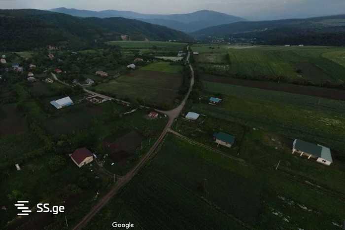 https://static.ss.ge/20250807/3_2207f977-b4a3-4d4c-b1dc-5dfbc776f081_Thumb.jpg