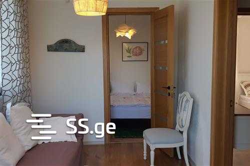 7 Room Private House For Rent. Natakhtari view 8