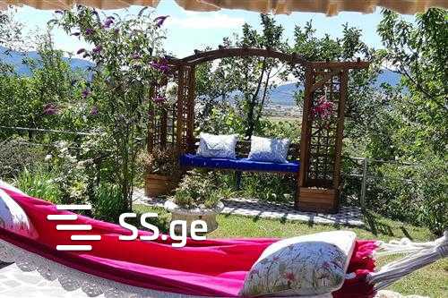 7 Room Private House For Rent. Natakhtari view 2