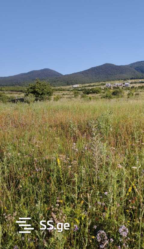 Land For Sale. Navdaraantkari view 2