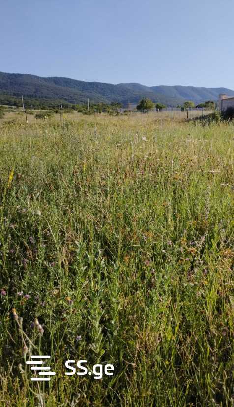 Land For Sale. Navdaraantkari view 3