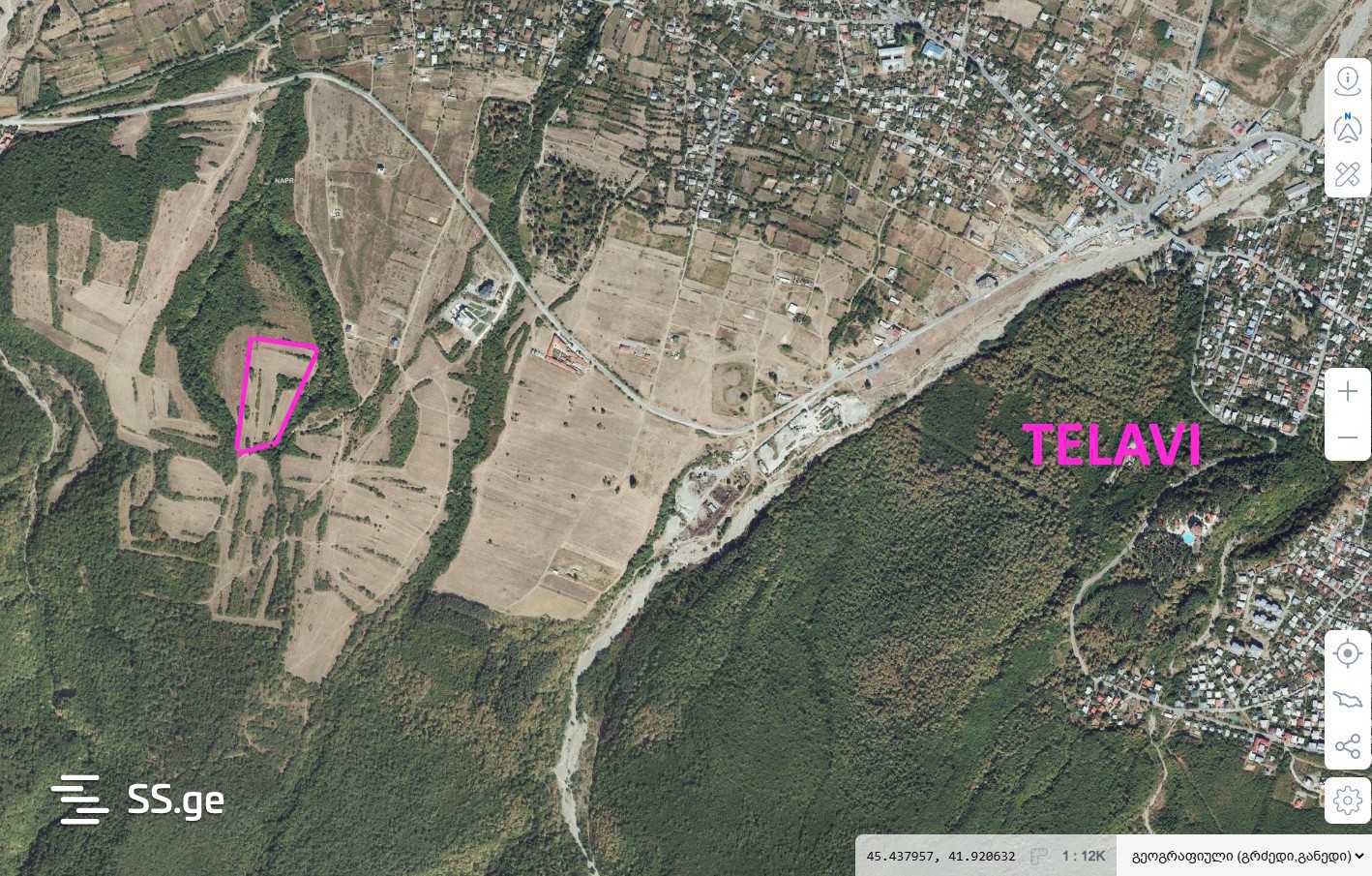 Land For Sale. Telavi, 2 of 4