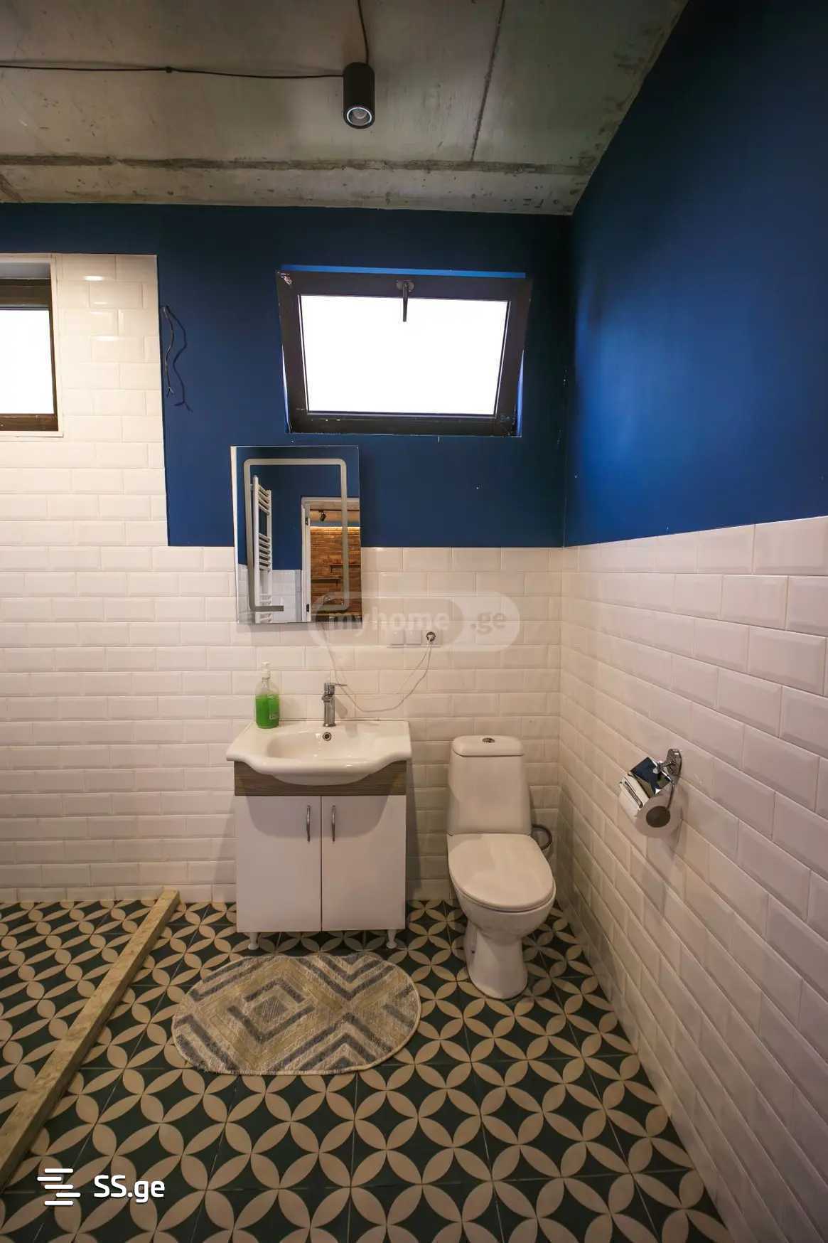 8 Room Summer Cottage Daily Rent. Saguramo view 9