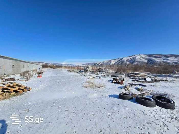 https://static.ss.ge/20250811/1_8d6f384a-f392-4cc0-b45f-5ca5e6a26df2_Thumb.jpg