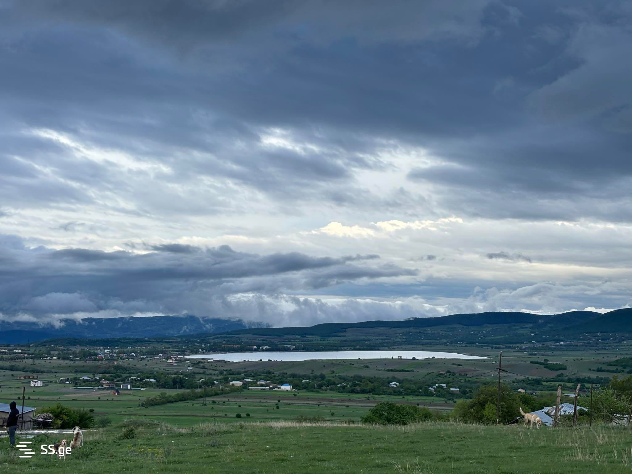 იყიდება მიწის ნაკვეთი ჩირდილელიანთკარში