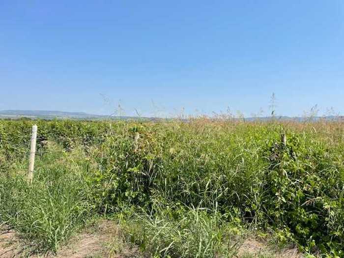 Land For Sale. Arashenda