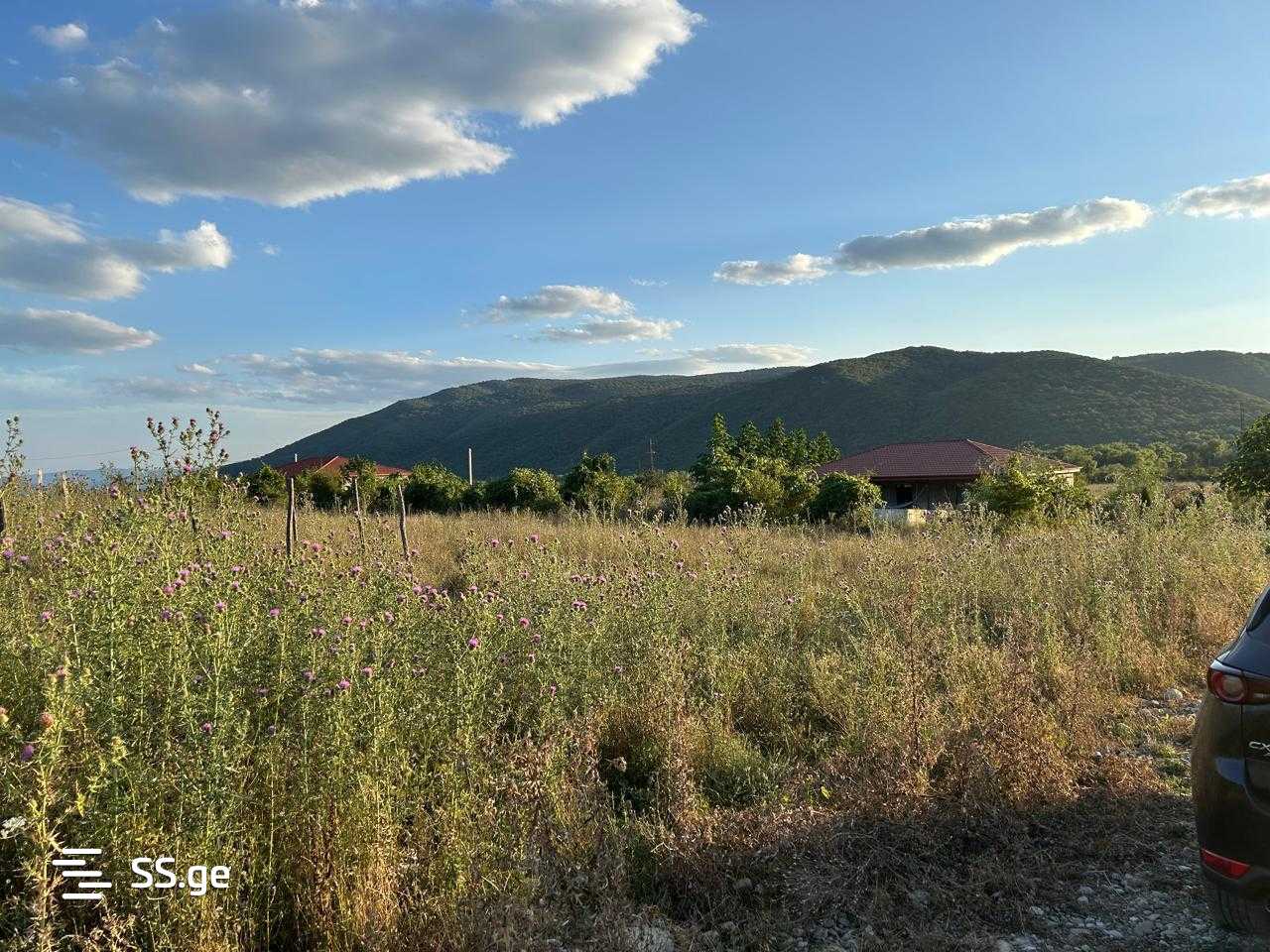 Land For Sale. Bulachauri view 3