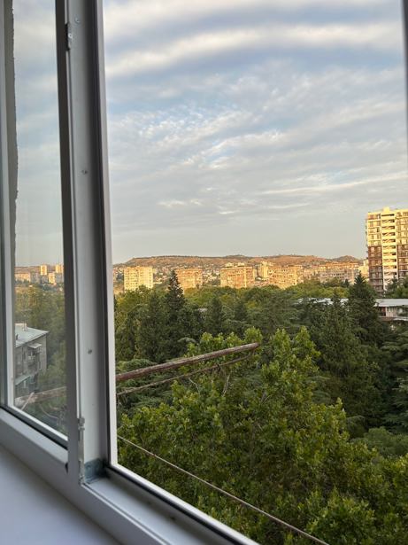 https://static.ss.ge/20250813/18_acf1b31b-dafe-4817-973a-a1125304c506_Thumb.jpg