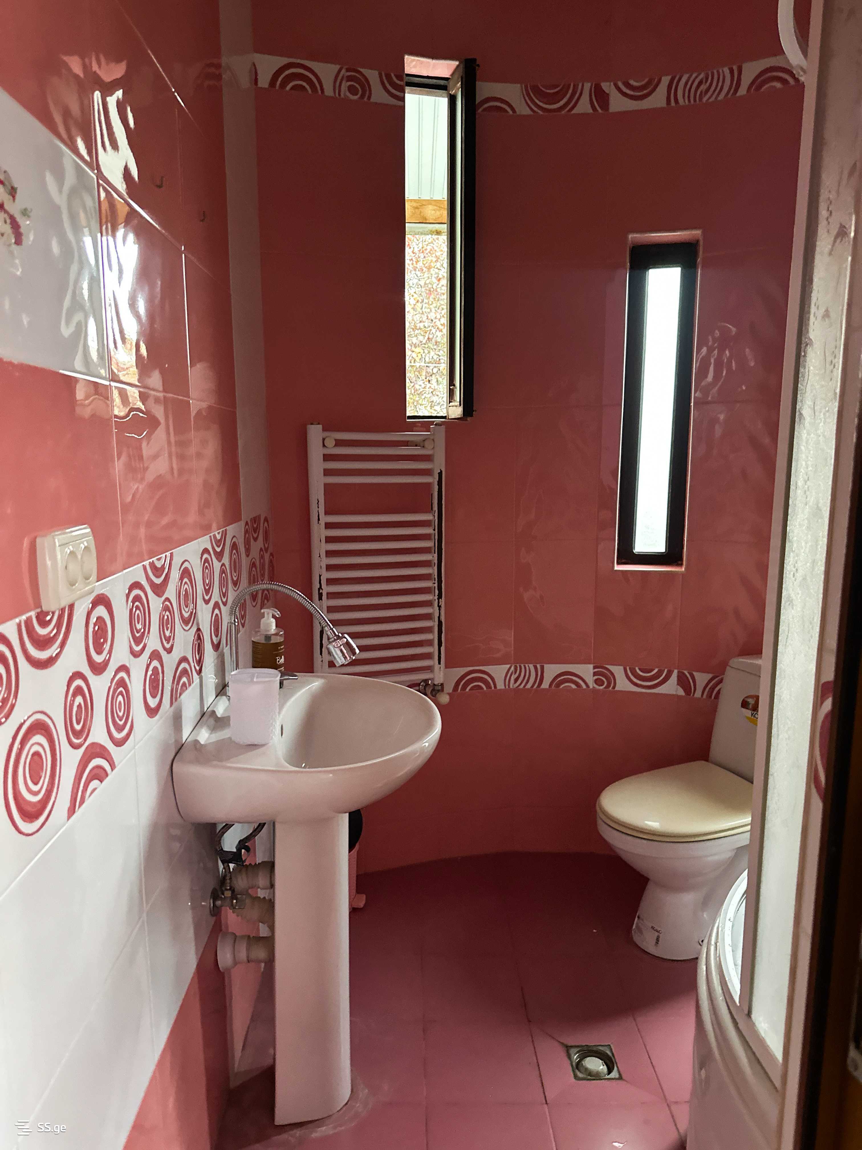 5 Room Summer Cottage For Rent. Mtskheta view 4