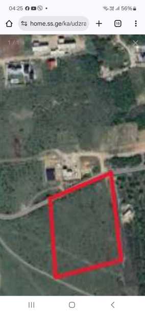 https://static.ss.ge/20250813/6_6614d11c-1329-4c14-a183-3fbfd94f426c_Thumb.jpg