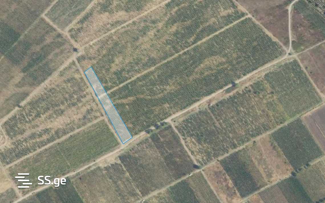 For Sale Sasoplo-Sameurneo Land Plot Gurjaanis Munitsipalitetshi view 2