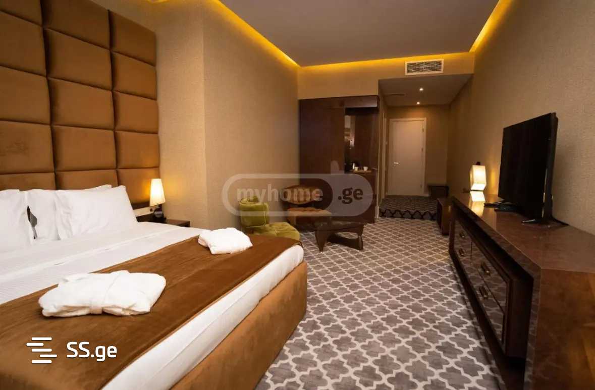 20 Room Hotel For Rent. Vake view 2