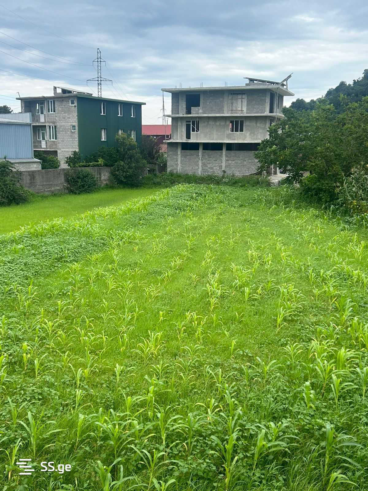 Land For Sale. Batumi view 1