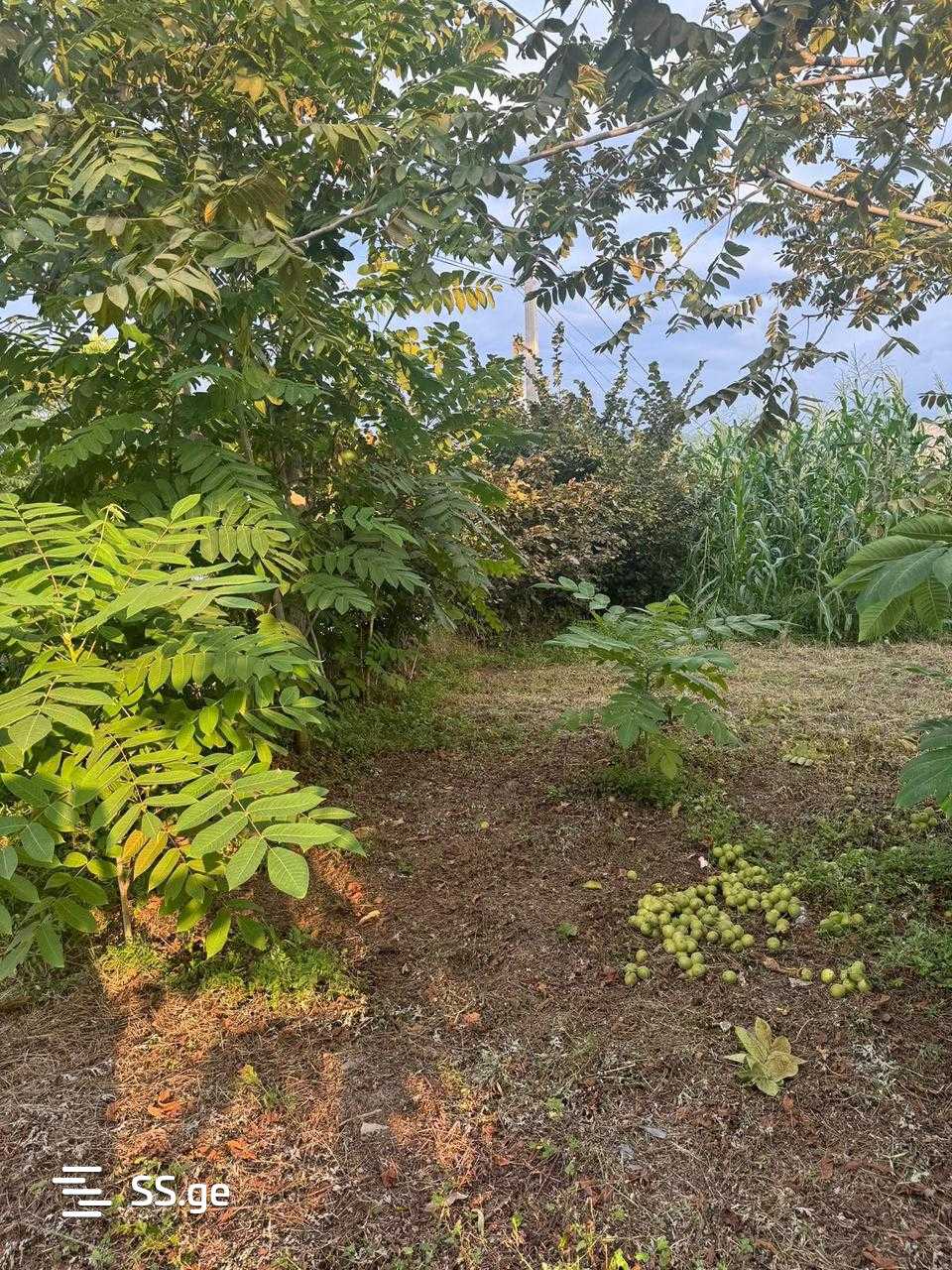 Land For Sale. Batumi view 5