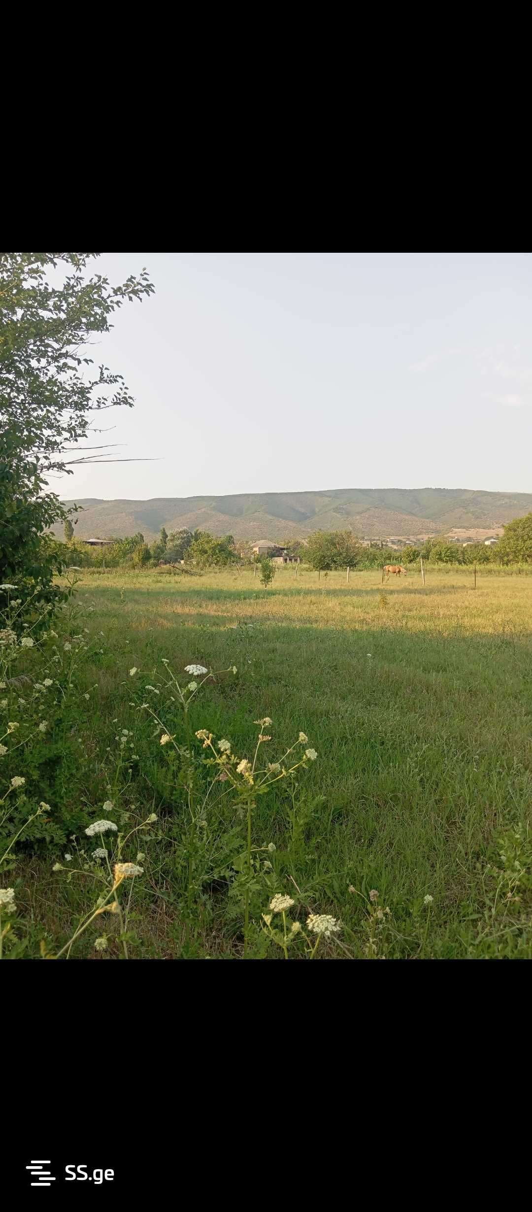 Land For Sale. Tsilkani view 1
