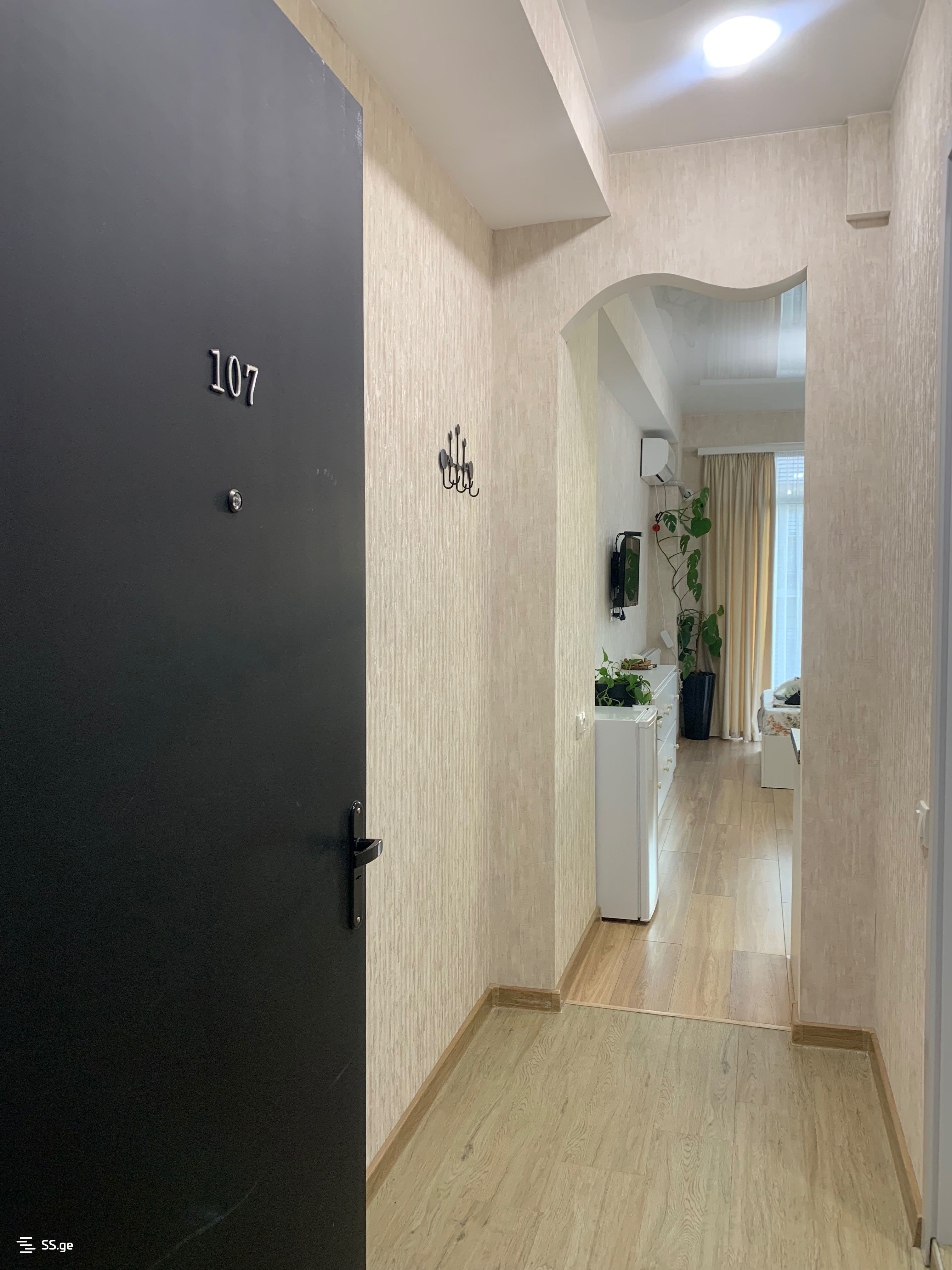 1 room Flat Daily rent. Didi digomi - Widok 3