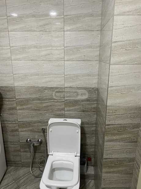 https://static.ss.ge/20250818/0_cf996a8b-cbaa-4706-9c0b-b4e5d83868e2_Thumb.jpg