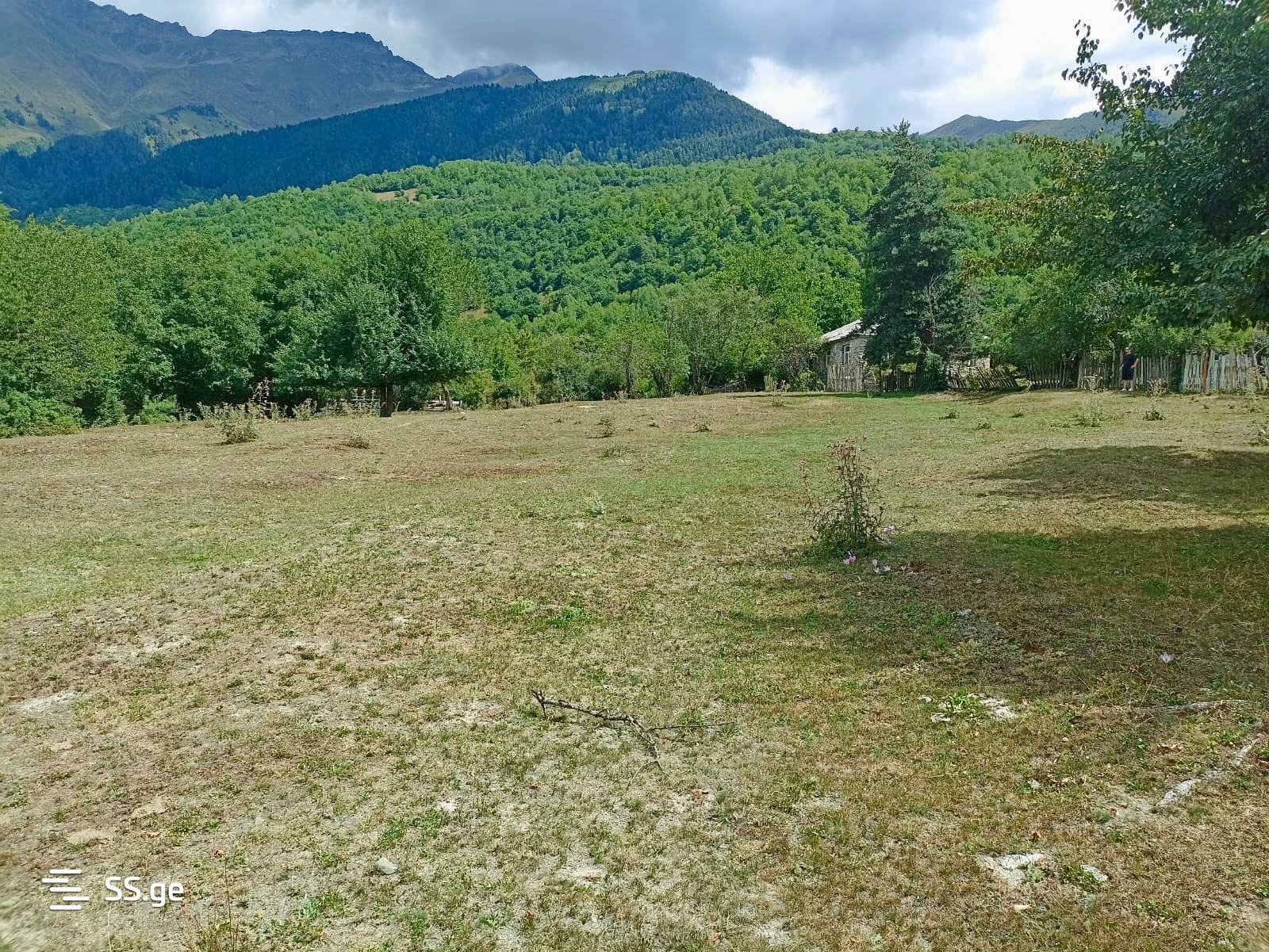 Land For Sale. Mestia view 3