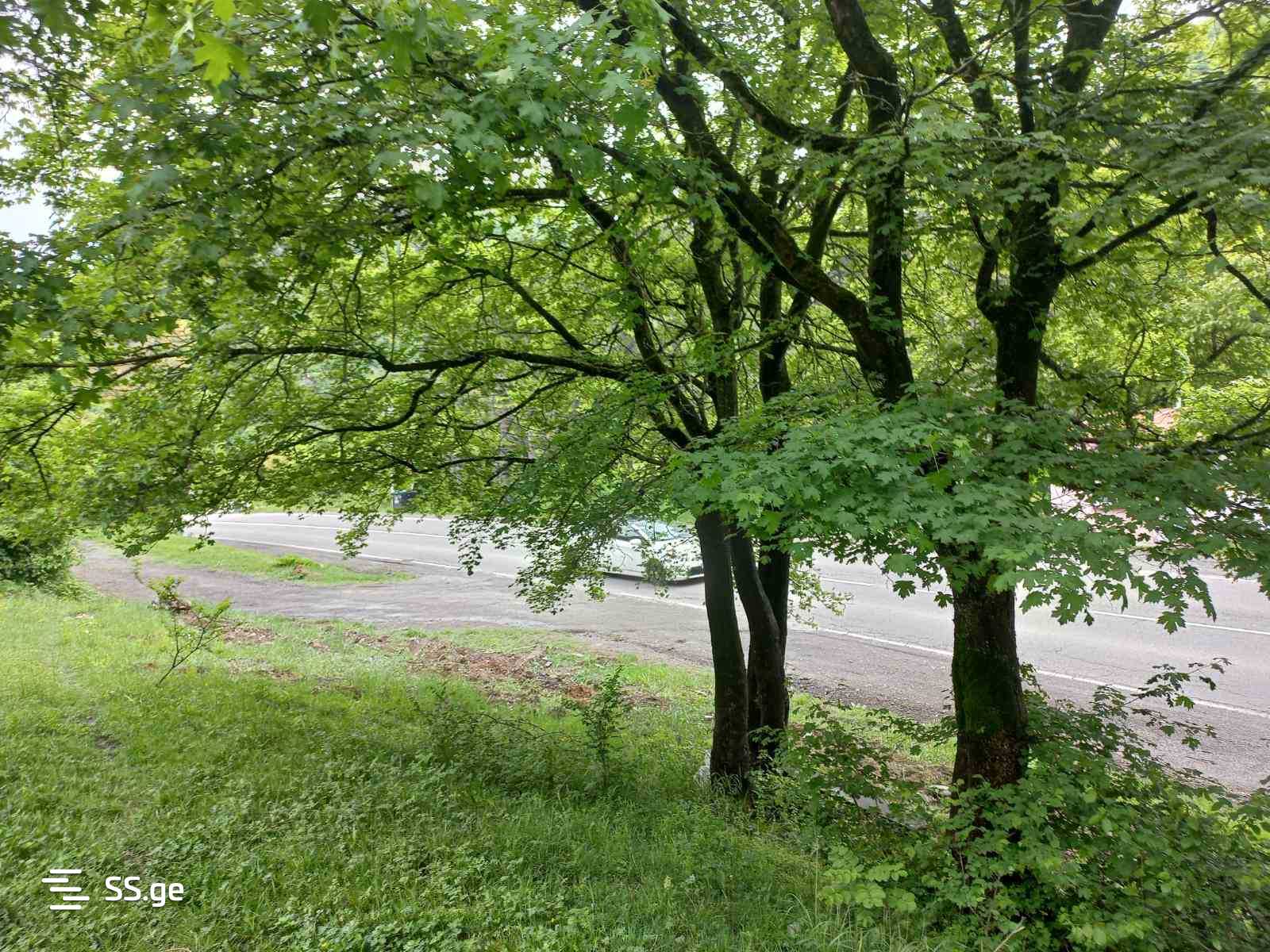 Commercial Space For Sale. Borjomi view 10