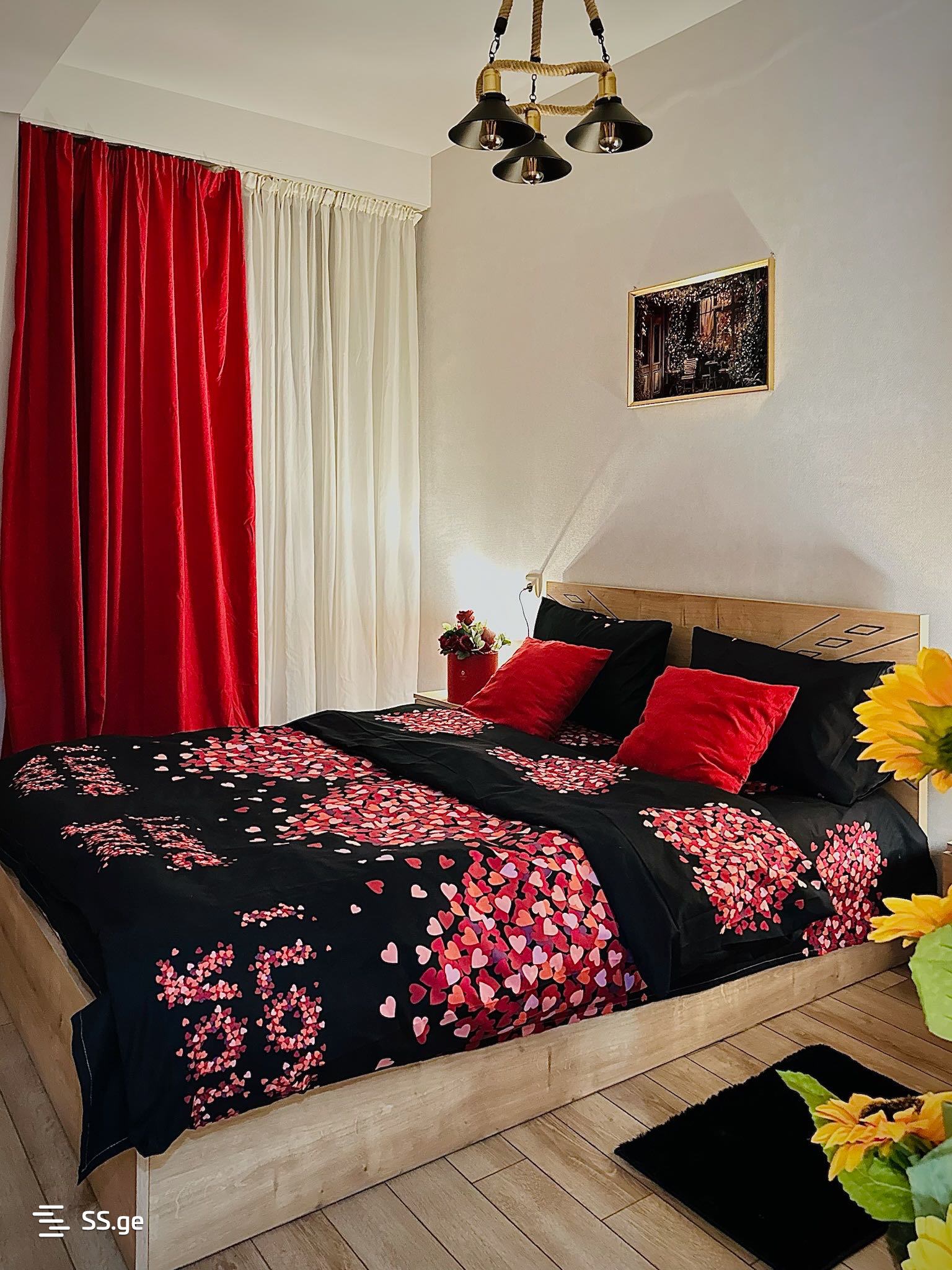 2 room Flat Daily rent. Didi digomi - Widok 5