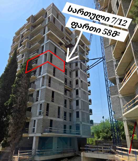https://static.ss.ge/20250819/3_bbe3aff8-d9b9-43e2-83c4-975058f95b65_Thumb.jpg
