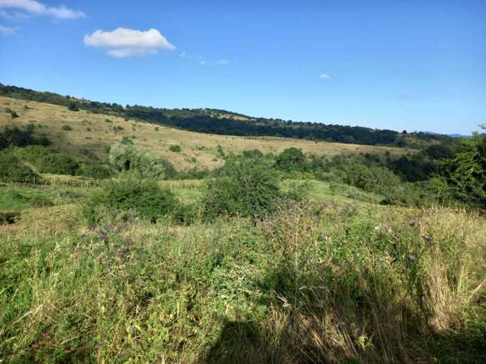 Land For Sale. Mukhrani