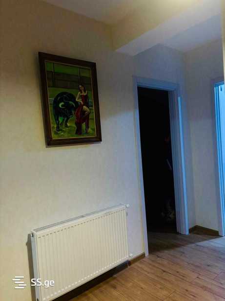 https://static.ss.ge/20250820/17_c37dad56-5292-4b35-b973-39cecb3ad7c0_Thumb.jpg