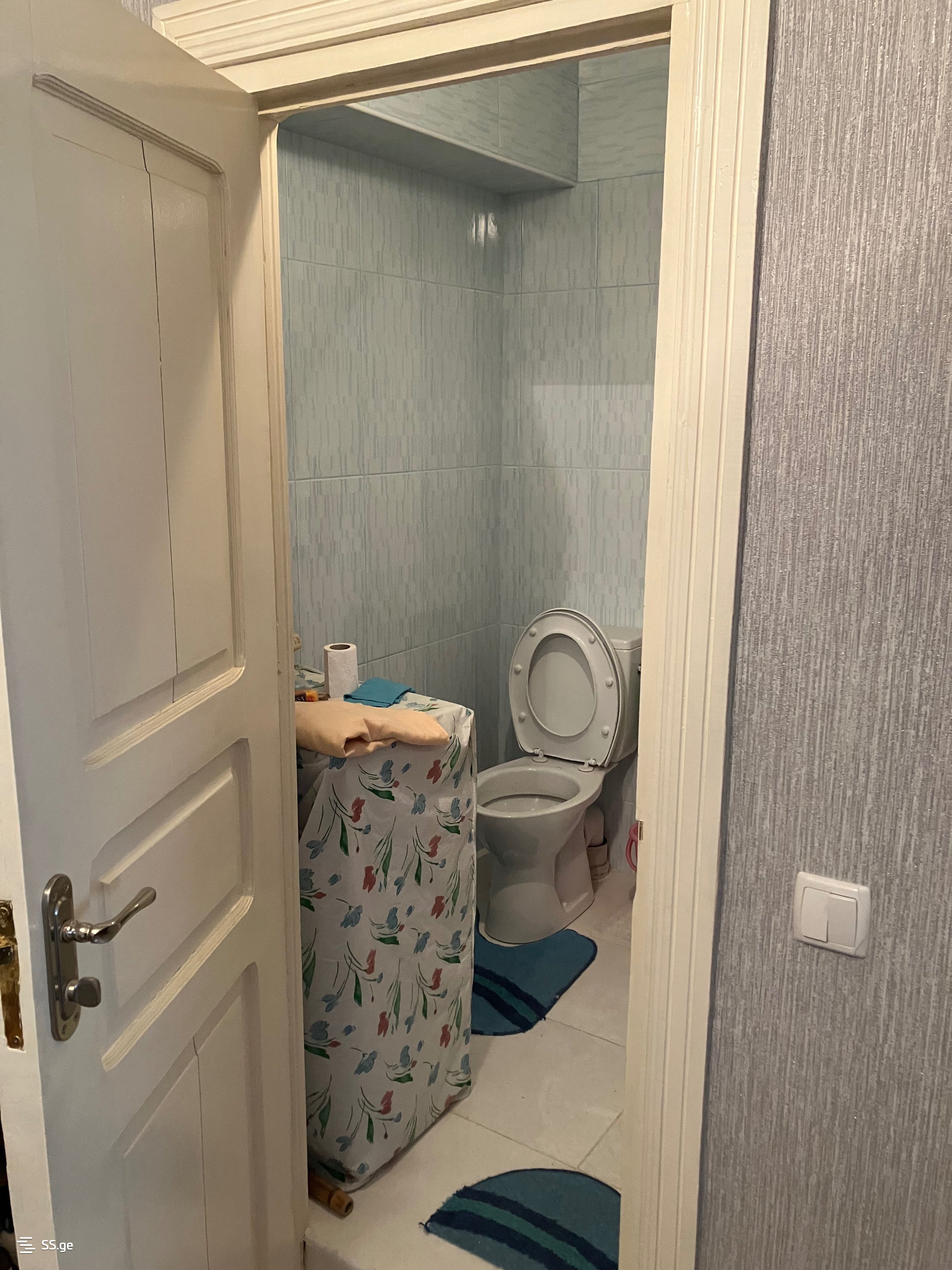 1 Room Flat For Rent. Borjomi view 5