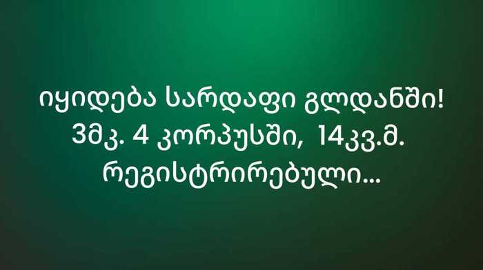 https://static.ss.ge/20250822/12_ee24e9cc-bad8-4a0b-8321-a7abd6f06d14_Thumb.jpg