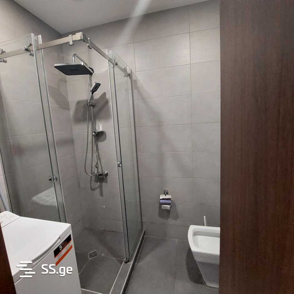 2 room Flat Daily rent. Isani - Ansicht 6