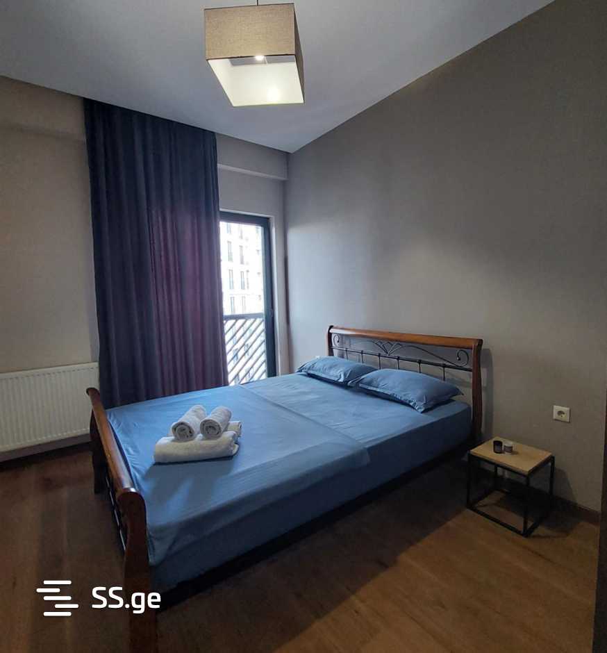 2 room Flat Daily rent. Isani - Ansicht 5