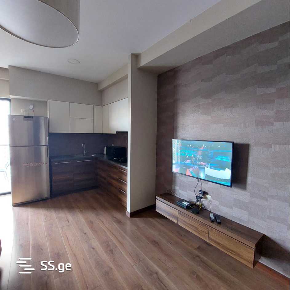 2 room Flat Daily rent. Isani - Ansicht 3