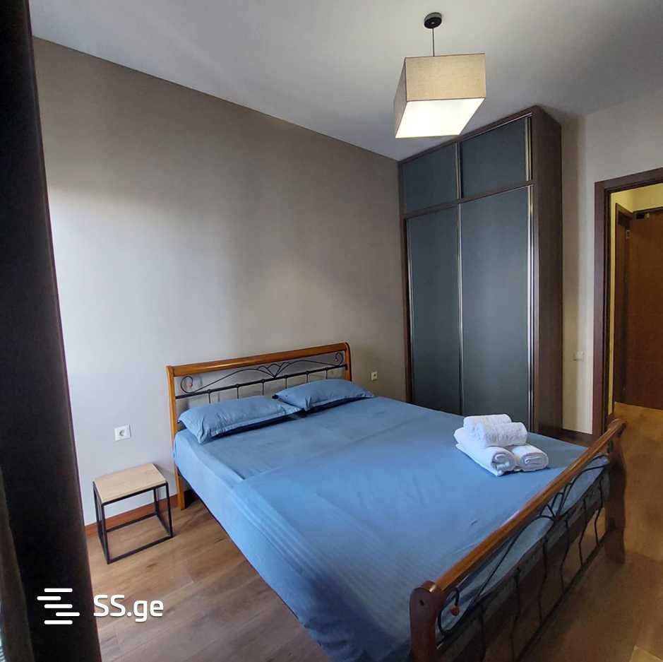 2 room Flat Daily rent. Isani - Ansicht 4