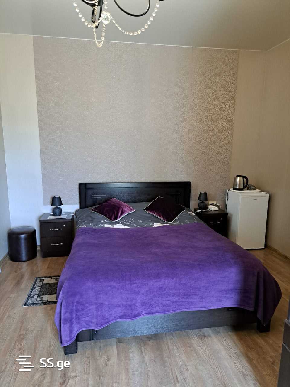 1 Room Flat Daily Rent. Mtskheta, 2 of 12