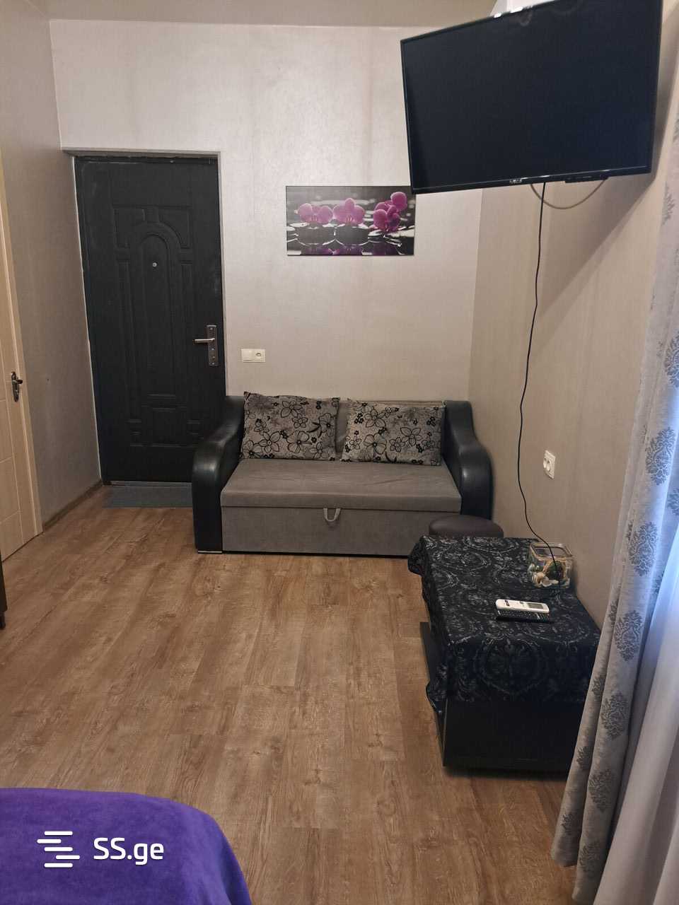 1 Room Flat Daily Rent. Mtskheta, 8 of 12