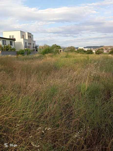 https://static.ss.ge/20250824/14_f59064b6-2fea-4435-9654-58d1700ed308_Thumb.jpg