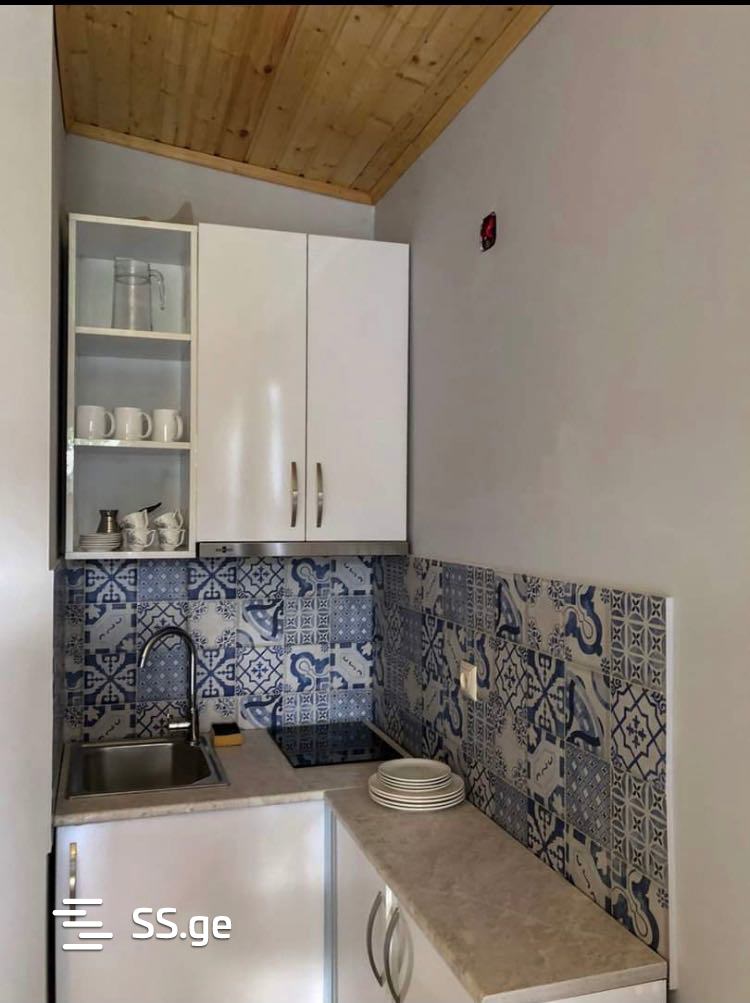 2 Room Summer Cottage Daily Rent. Bazaleti view 5