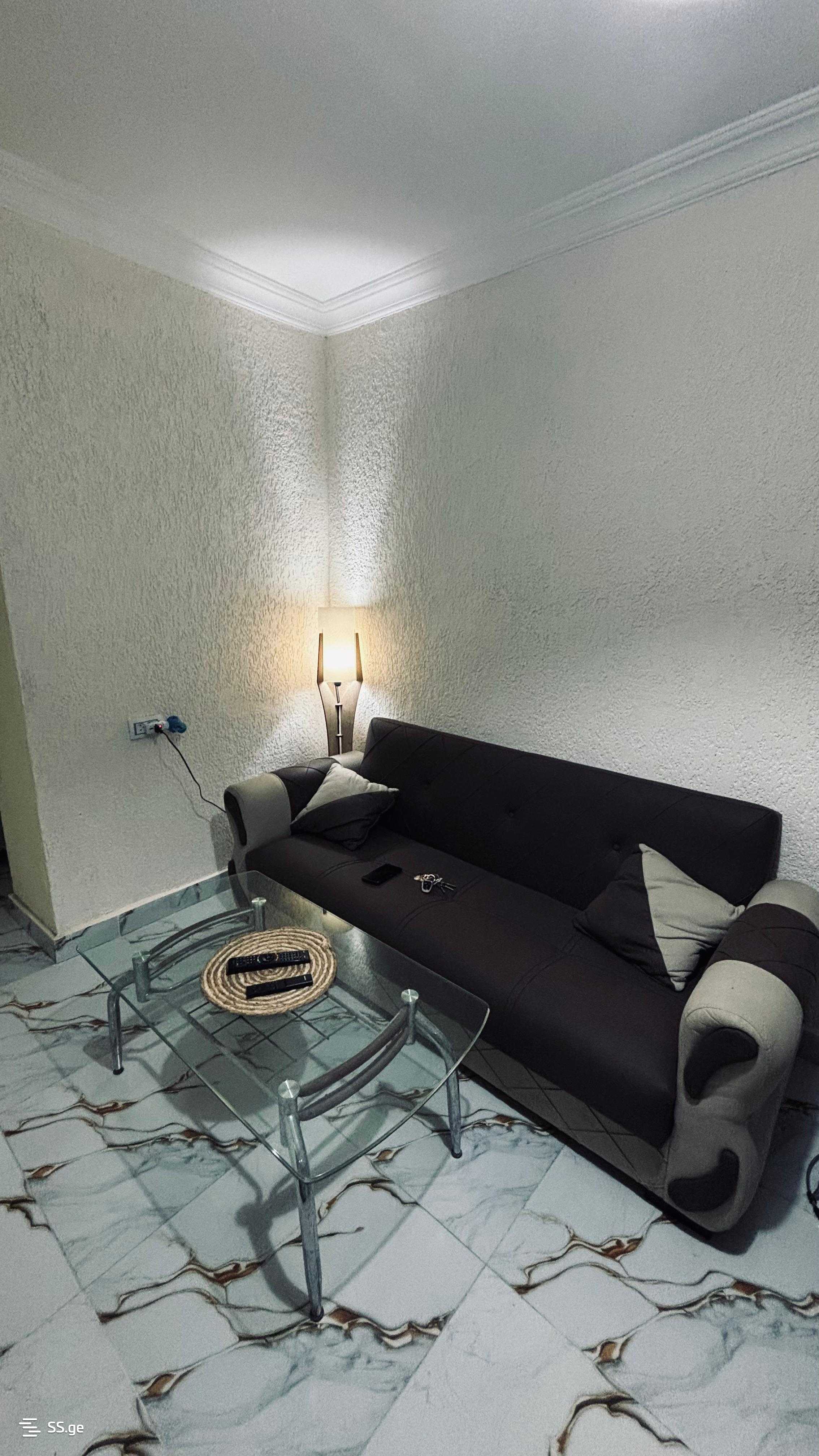 2 Room Flat Daily Rent. Poti view 6