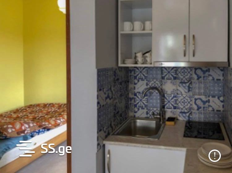 2 Room Summer Cottage Daily Rent. Bazaleti view 8